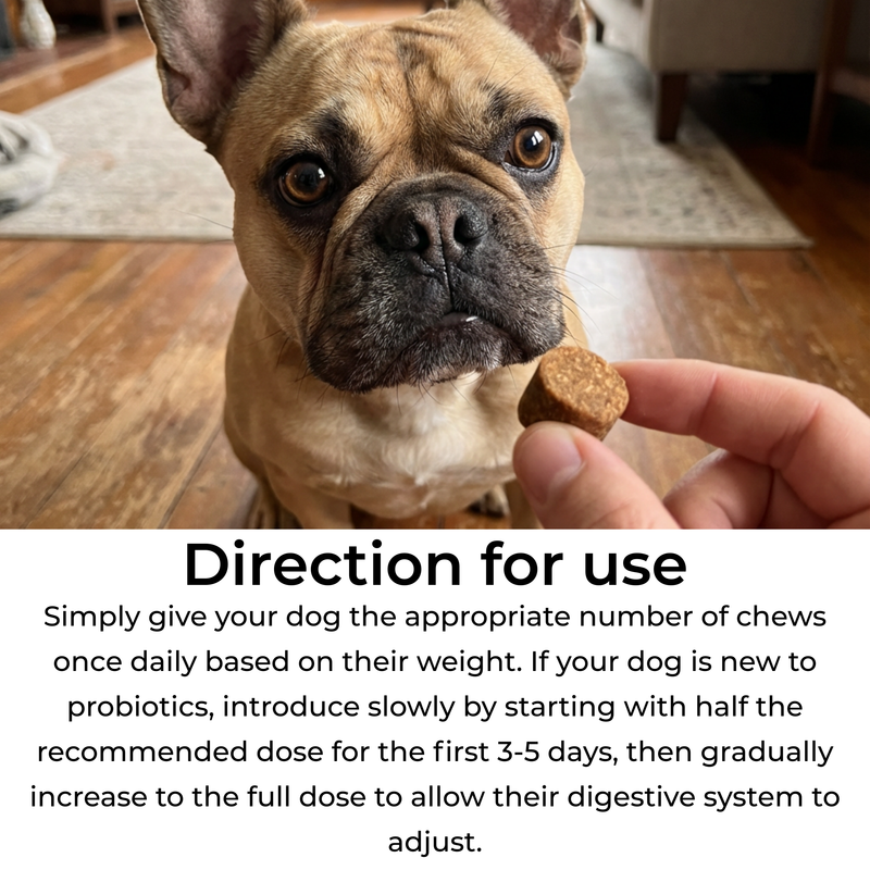 Petrition Probiotic Chews for Dogs - 120 Chews Chicken Flavour, Immune Support