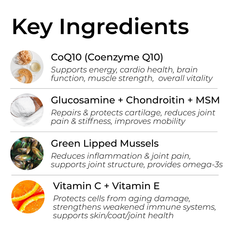 Petrition Senior Support Chews for Dogs - 120 Chew Chicken Flavour