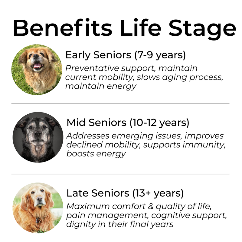 Petrition Senior Support Chews for Dogs - 120 Chew Chicken Flavour