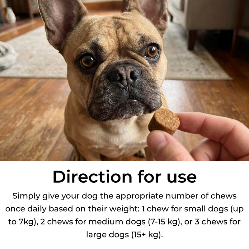 Petrition Hip and Joint Chews for Dogs - 120 Chews Chicken Flavour