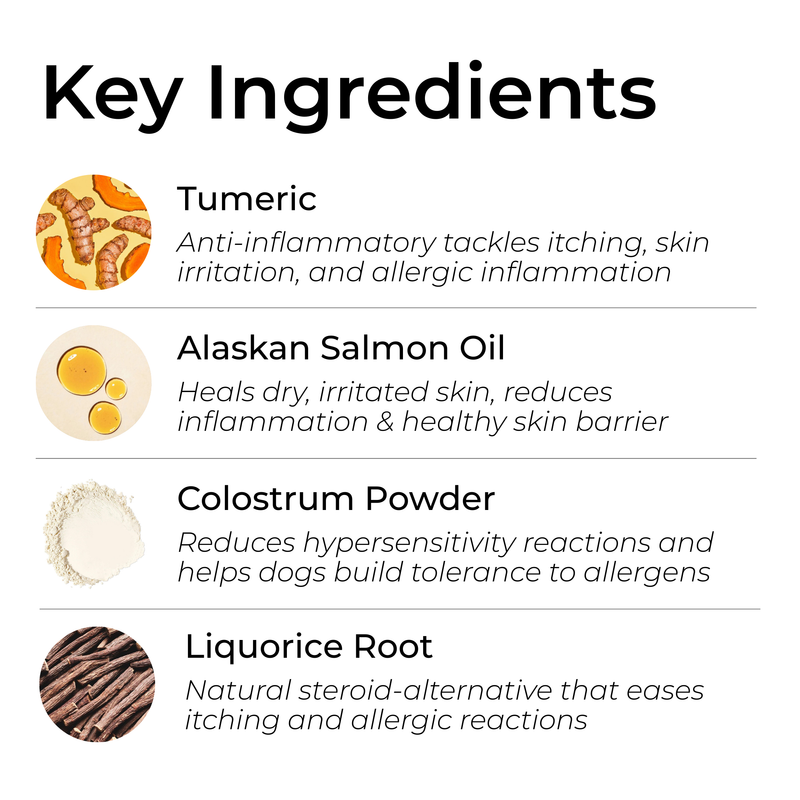 Petrition Allergy and Itch Support Chews for Dogs - 120 Chews